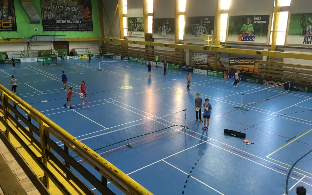 Pickleball